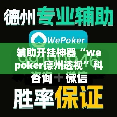 辅助开挂神器“wepoker德州透视	”科技辅助神器手机版教程