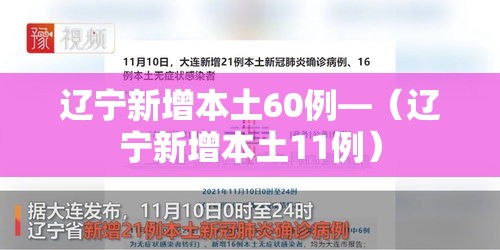 辽宁新增本土60例—（辽宁新增本土11例）