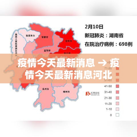 疫情今天最新消息 → 疫情今天最新消息河北
