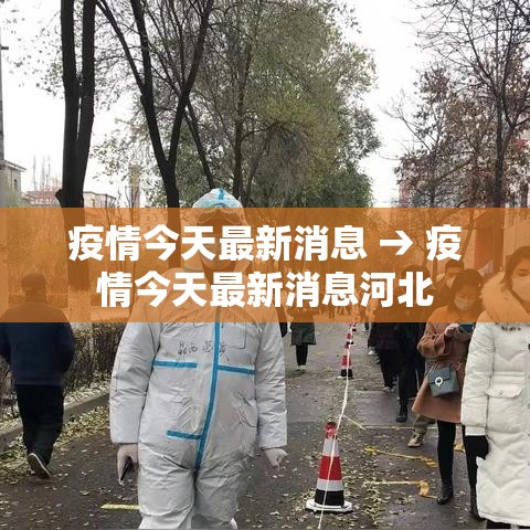 疫情今天最新消息 → 疫情今天最新消息河北