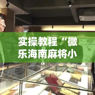 实操教程“微乐海南麻将小程序必赢神器”透视开挂辅助教程