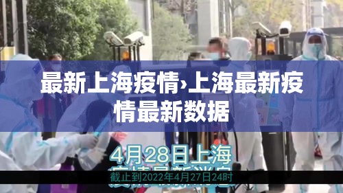 最新上海疫情›上海最新疫情最新数据