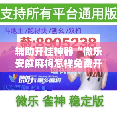 辅助开挂神器“微乐安徽麻将怎样免费开挂”科技辅助神器手机版教程
