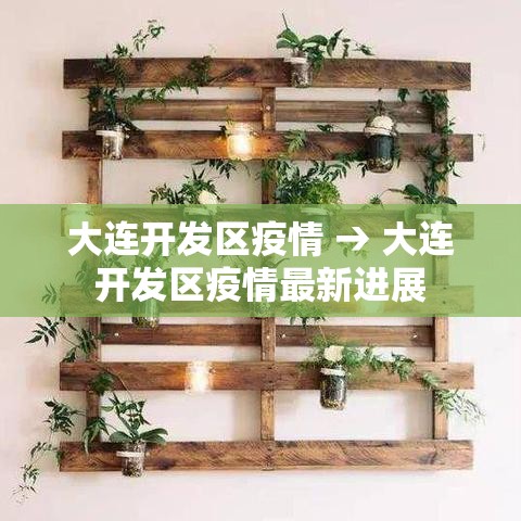 大连开发区疫情 → 大连开发区疫情最新进展