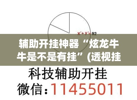 辅助开挂神器“炫龙牛牛是不是有挂”(透视挂)辅助透视教程
