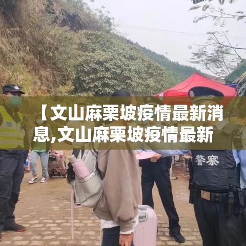【文山麻栗坡疫情最新消息,文山麻栗坡疫情最新消息通知】