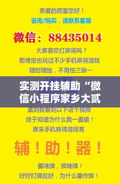 实测开挂辅助“微信小程序家乡大贰辅助器”科技辅助神器手机版教程