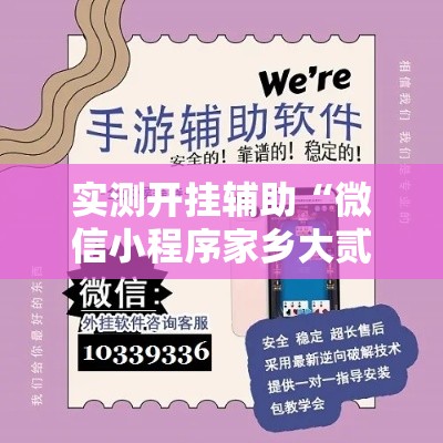 实测开挂辅助“微信小程序家乡大贰辅助器	”科技辅助神器手机版教程