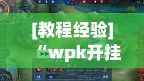 [教程经验]“wpk开挂辅助器”透视开挂辅助教程