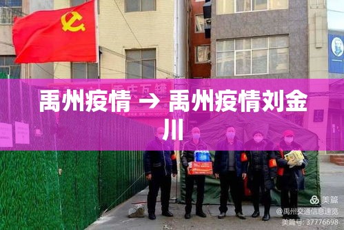禹州疫情 → 禹州疫情刘金川