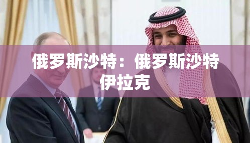 俄罗斯沙特：俄罗斯沙特伊拉克