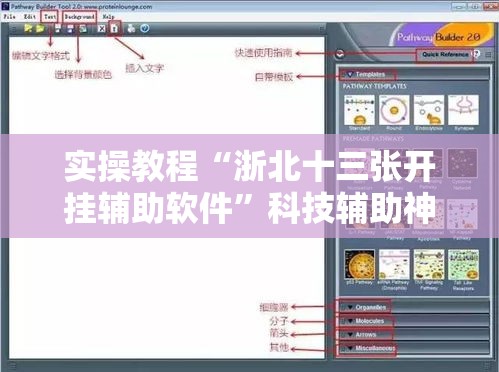 实操教程“浙北十三张开挂辅助软件	”科技辅助神器手机版教程
