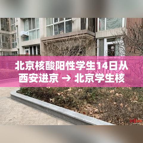 北京核酸阳性学生14日从西安进京 → 北京学生核酸检测有阳性的吧