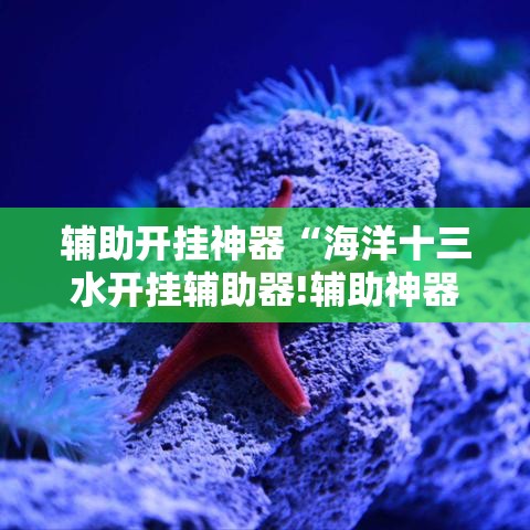 辅助开挂神器“海洋十三水开挂辅助器!辅助神器插件下载 辅助开挂神器“海洋十三水开挂辅助器!辅助神器插件下载