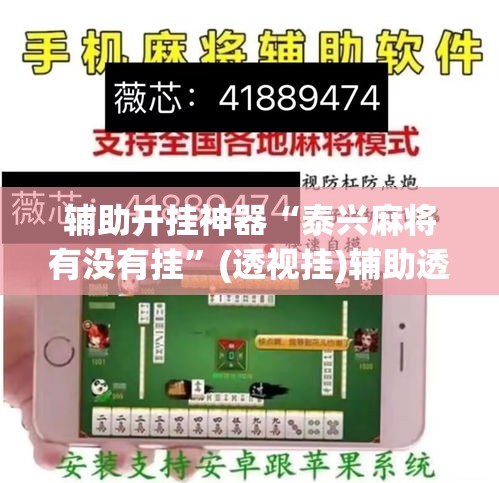 辅助开挂神器“泰兴麻将有没有挂”(透视挂)辅助透视教程