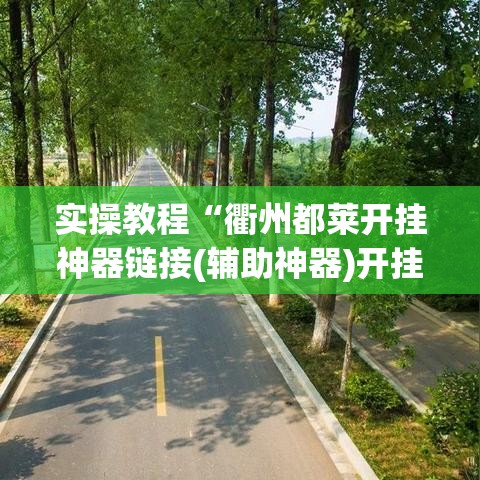 实操教程“衢州都莱开挂神器链接(辅助神器)开挂详细教程