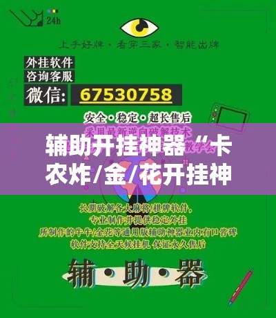 辅助开挂神器“卡农炸/金/花开挂神器”透视开挂辅助教程