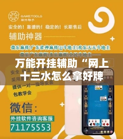 万能开挂辅助“网上十三水怎么拿好牌”科技辅助神器手机版教程