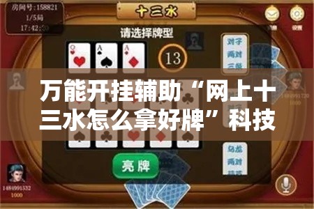 万能开挂辅助“网上十三水怎么拿好牌	”科技辅助神器手机版教程