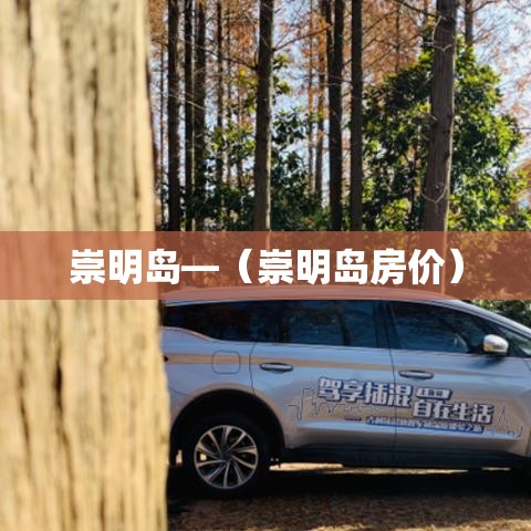 崇明岛—（崇明岛房价）