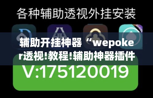 辅助开挂神器“wepoker透视!教程!辅助神器插件下载