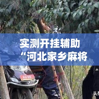 实测开挂辅助“河北家乡麻将亲友圈怎么开挂”(透视挂)辅助透视教程