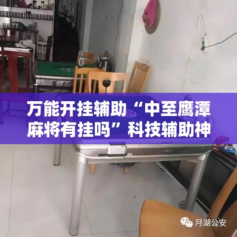 万能开挂辅助“中至鹰潭麻将有挂吗”科技辅助神器手机版教程