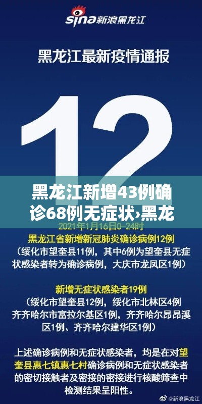 黑龙江新增43例确诊68例无症状›黑龙江新增43例无症状31例