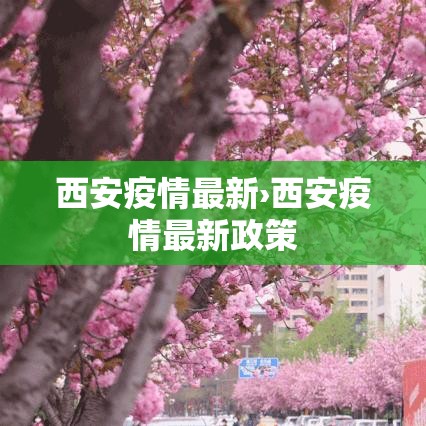 西安疫情最新›西安疫情最新政策