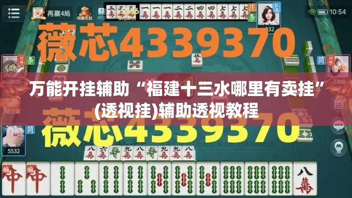 万能开挂辅助“福建十三水哪里有卖挂	”(透视挂)辅助透视教程