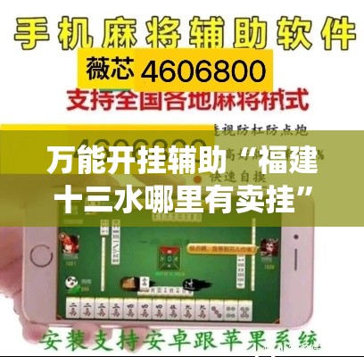 万能开挂辅助“福建十三水哪里有卖挂”(透视挂)辅助透视教程