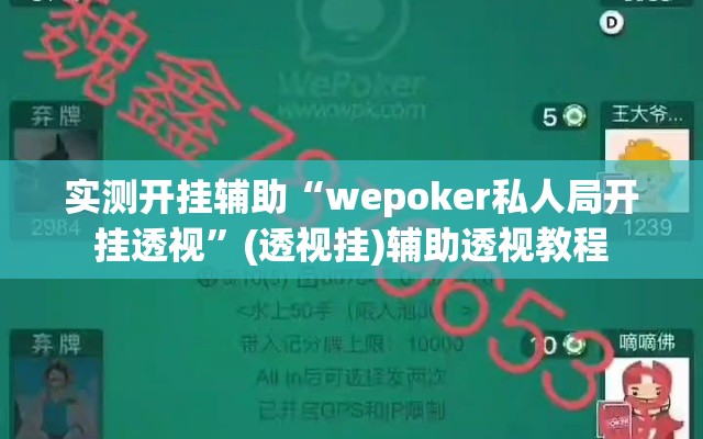 实测开挂辅助“wepoker私人局开挂透视”(透视挂)辅助透视教程