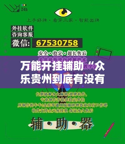 万能开挂辅助“众乐贵州到底有没有挂!辅助神器插件下载