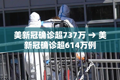 美新冠确诊超737万 → 美新冠确诊超614万例