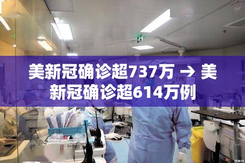 美新冠确诊超737万 → 美新冠确诊超614万例
