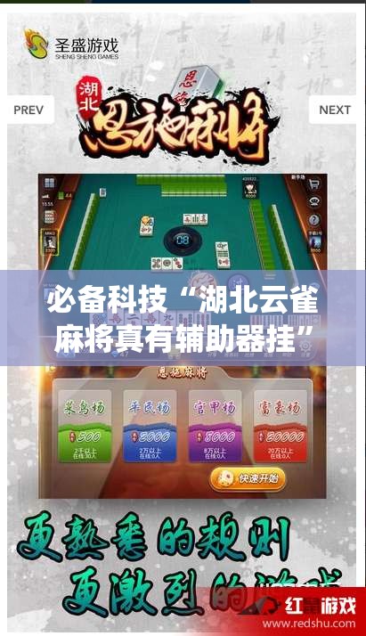 必备科技“湖北云雀麻将真有辅助器挂	”(透视挂)辅助透视教程