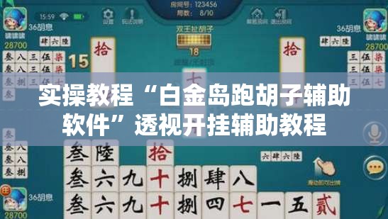 实操教程“白金岛跑胡子辅助软件”透视开挂辅助教程