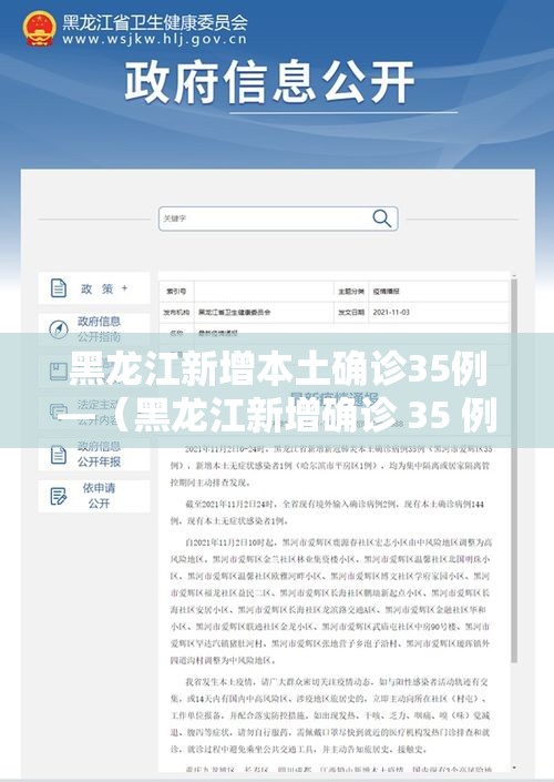 黑龙江新增本土确诊35例—（黑龙江新增确诊 35 例）
