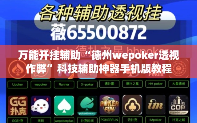 万能开挂辅助“德州wepoker透视作弊”科技辅助神器手机版教程