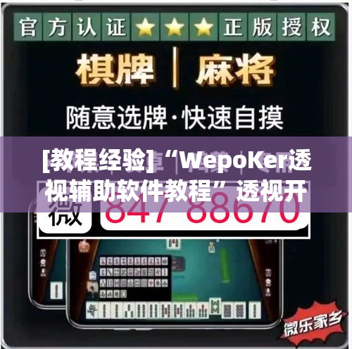 [教程经验]“WepoKer透视辅助软件教程”透视开挂辅助教程