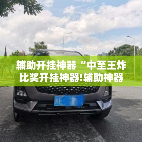 辅助开挂神器“中至王炸比奖开挂神器!辅助神器插件下载