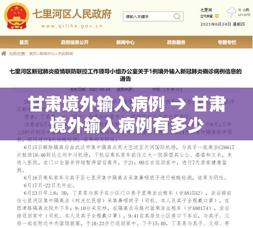 甘肃境外输入病例 → 甘肃境外输入病例有多少