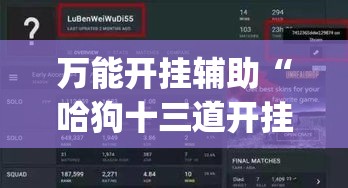 万能开挂辅助“哈狗十三道开挂辅助软件”(透视挂)辅助透视教程
