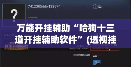 万能开挂辅助“哈狗十三道开挂辅助软件”(透视挂)辅助透视教程