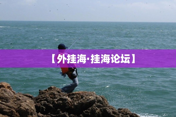 【外挂海·挂海论坛】