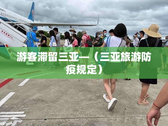 游客滞留三亚—（三亚旅游防疫规定）