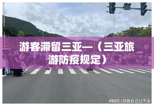 游客滞留三亚—（三亚旅游防疫规定）