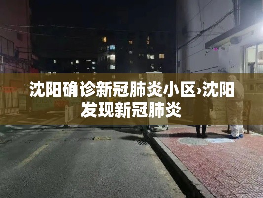 沈阳确诊新冠肺炎小区›沈阳发现新冠肺炎