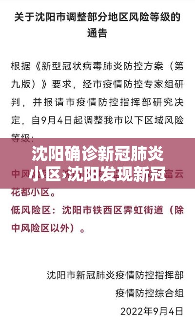 沈阳确诊新冠肺炎小区›沈阳发现新冠肺炎