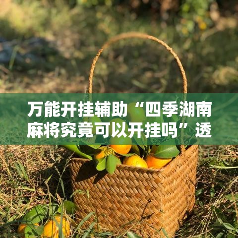 万能开挂辅助“四季湖南麻将究竟可以开挂吗	”透视开挂辅助教程